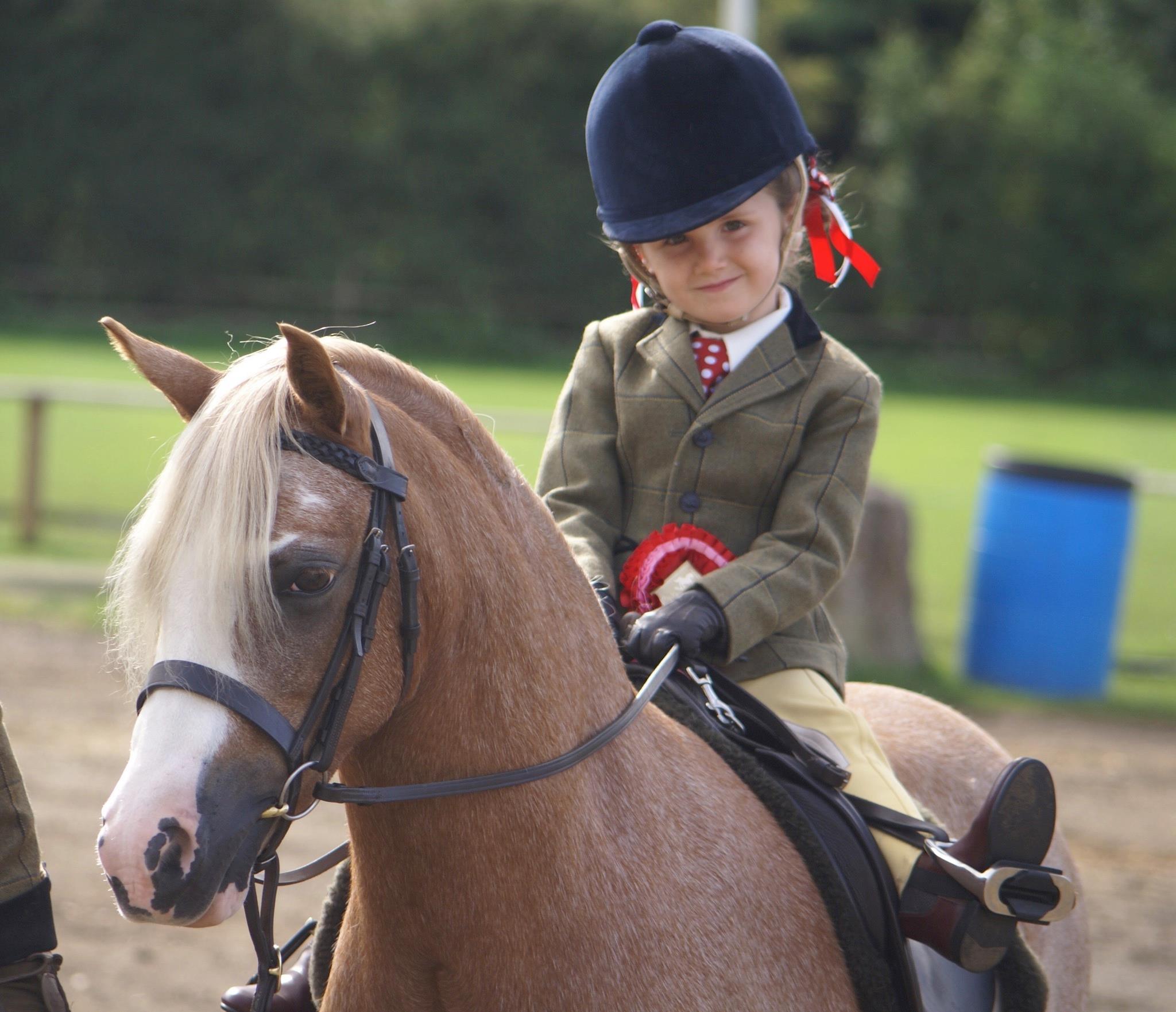 Gallery | South West Pony Association